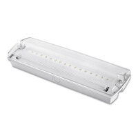 LED Notlicht/Fluchtwegleuchte UNI4 Autotest 4W, IP65,...