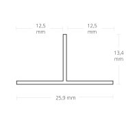 LED Trockenbau T-Profil 12,schwarz 9005 200cm