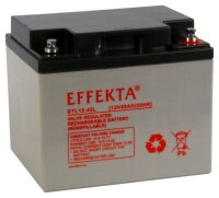 Effekta zbh. Akku 12V/ 45Ah,10-Jahresbatterien, M6...