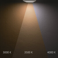 3-PH Linearleuchte prismatisch, 60cm, 32W, schwarz, 3000|3500|4000K, CRI90, dimmbar